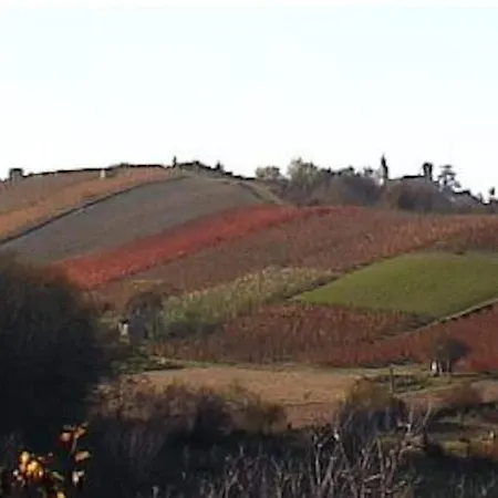 Casa Intera Tra Le Colline E Le Vigne Del Dolcetto 펜션 *