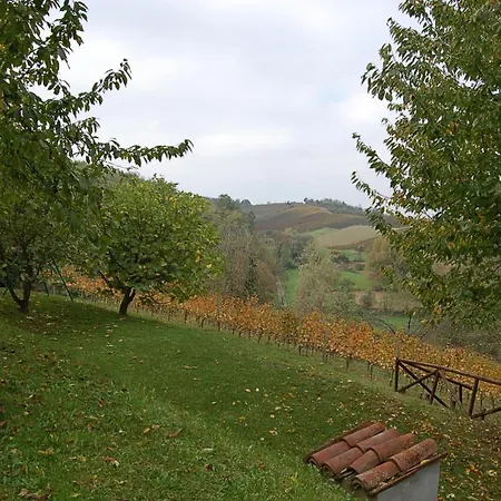 Casa Intera Tra Le Colline E Le Vigne Del Dolcetto *