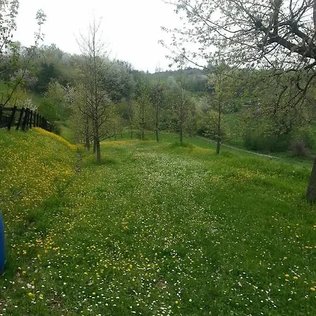 Casa Intera Tra Le Colline E Le Vigne Del Dolcetto * Rocca Grimalda