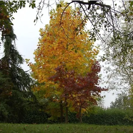 Casa Intera Tra Le Colline E Le Vigne Del Dolcetto