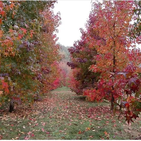 Tatil Evi Casa Intera Tra Le Colline E Le Vigne Del Dolcetto