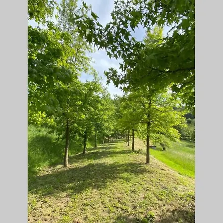 Casa Intera Tra Le Colline E Le Vigne Del Dolcetto Tatil Evi