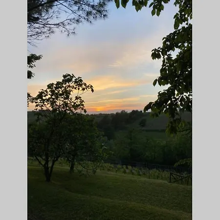 Casa Intera Tra Le Colline E Le Vigne Del Dolcetto 펜션