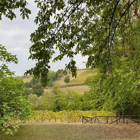 Hébergement de vacances Casa Intera Tra Le Colline E Le Vigne Del Dolcetto *