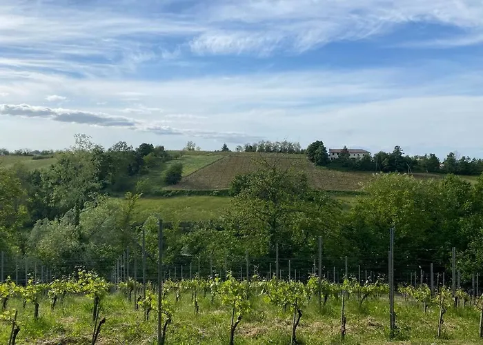Tatil Evi Casa Intera Tra Le Colline E Le Vigne Del Dolcetto Rocca Grimalda