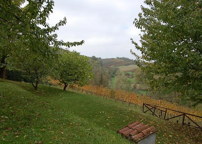 Casa Intera Tra Le Colline E Le Vigne Del Dolcetto *