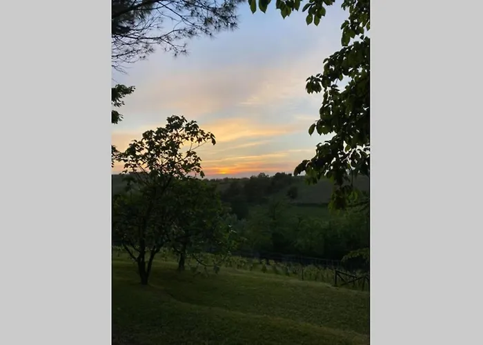 Casa Intera Tra Le Colline E Le Vigne Del Dolcetto Feriehus