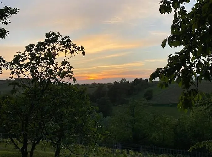 Casa Intera Tra Le Colline E Le Vigne Del Dolcetto *
