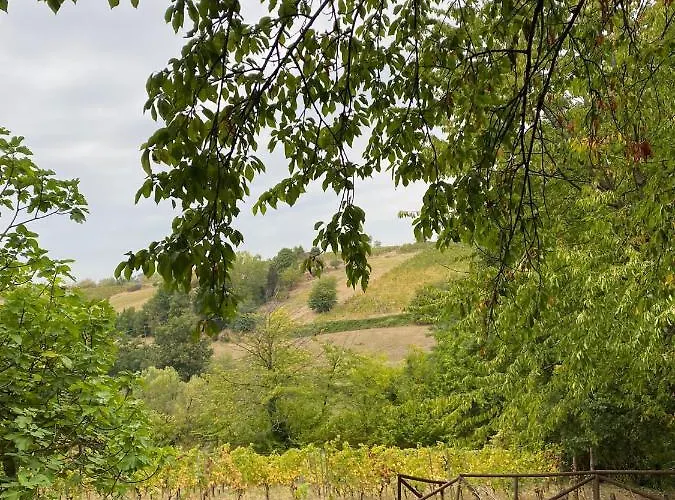 Feriehus Casa Intera Tra Le Colline E Le Vigne Del Dolcetto *